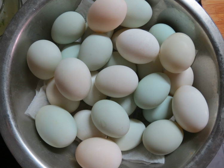 腌咸鸭蛋用黑醋不行吗,腌咸鸭蛋不用黄泥的做法