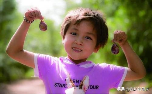 除了伽师瓜，你对伽师一无所知