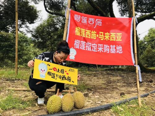 榴莲西施黑金榴莲千层400g,东方甄选榴莲千层和榴莲西施