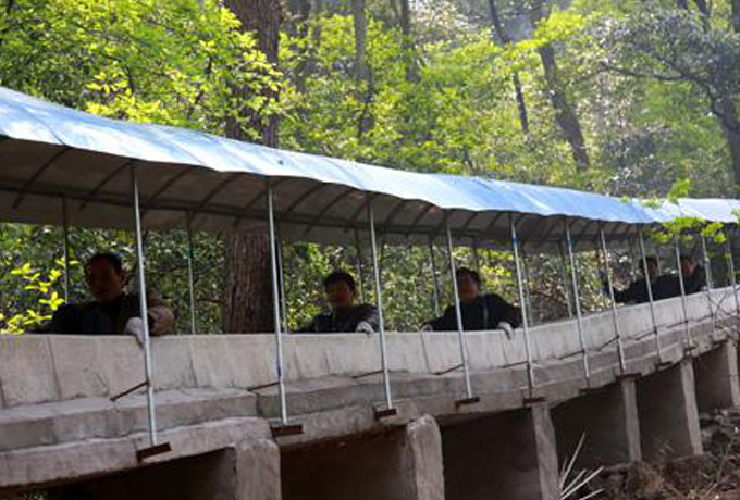 安徽马仁奇峰风景区游玩路线,安徽繁昌马仁奇峰旅游攻略