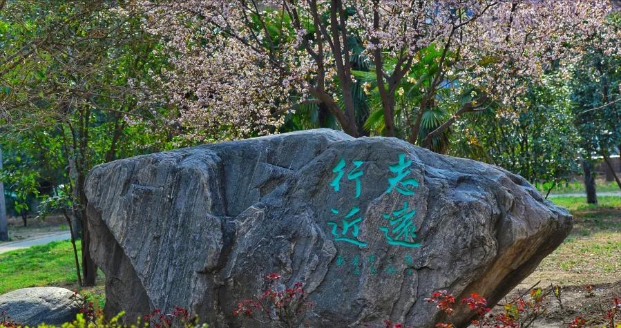 郑州十六中与郑州七十四中哪个好,郑州市七十四中