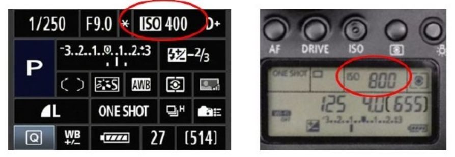 光圈变大了快门和感光度怎么调,光圈快门感光度怎么调节