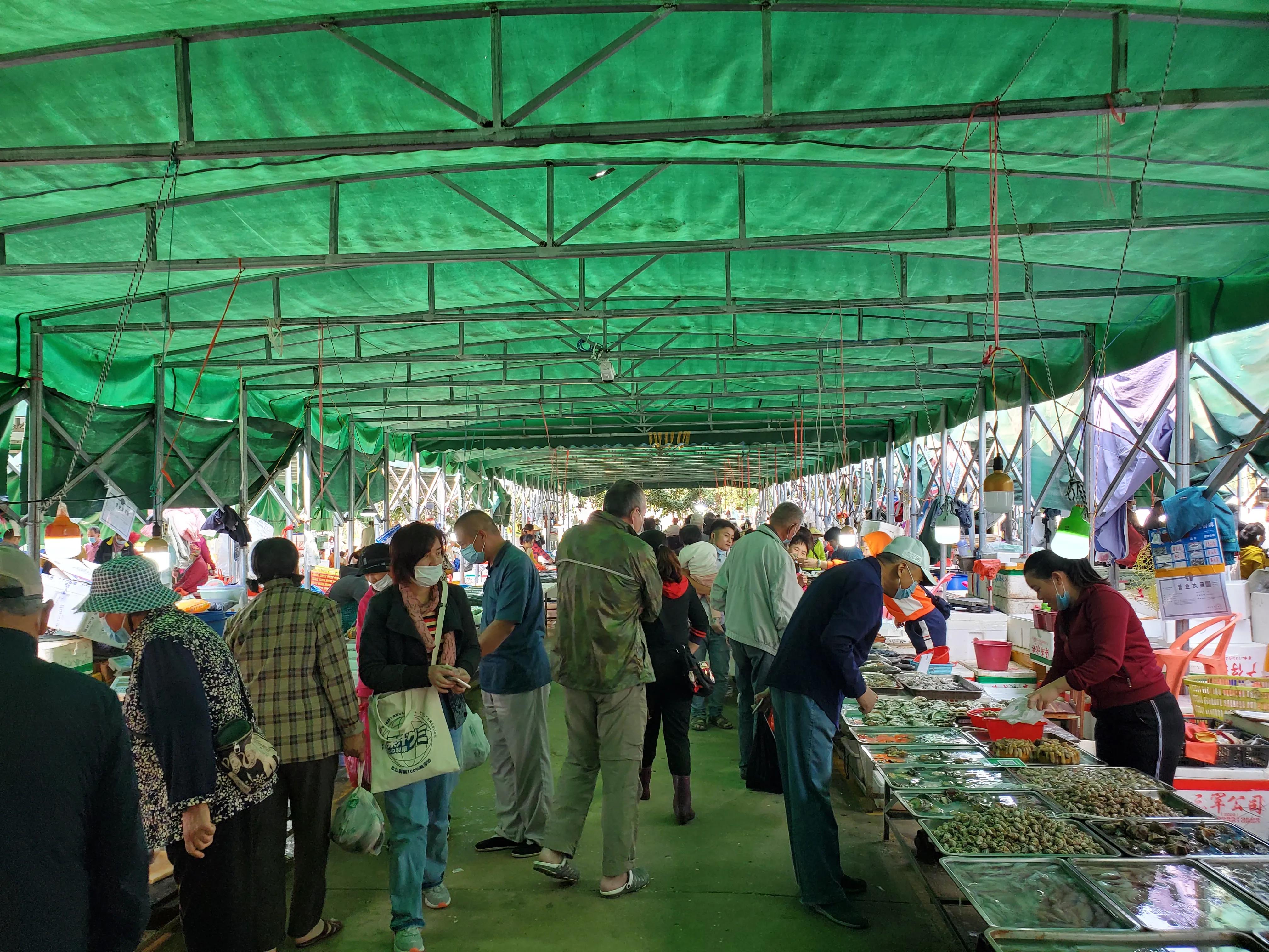 这个冬天我就要去旅行,来三亚享受着冬天里的夏天吧