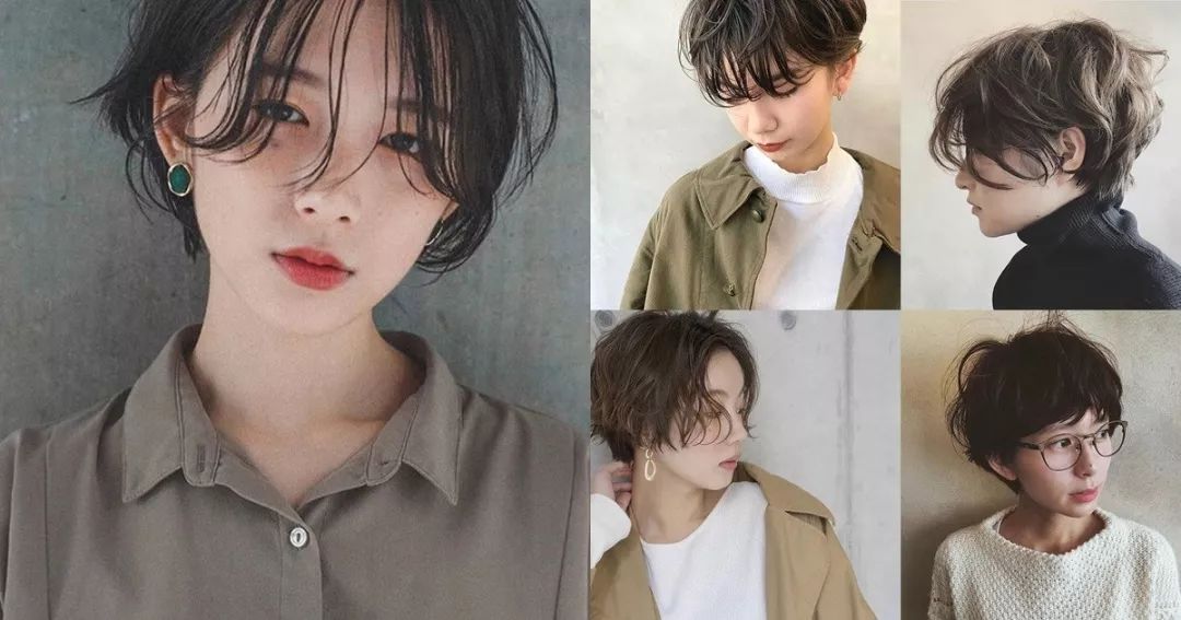 染发长出黑发适合什么发型,自己染发怎样才能遮住白发