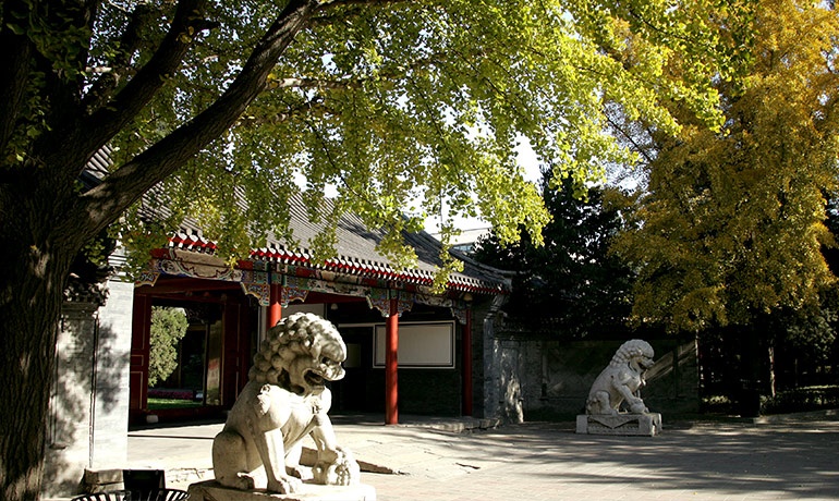 想要上清华高中三年如何规划,满足了这几点不用高考也能上清华