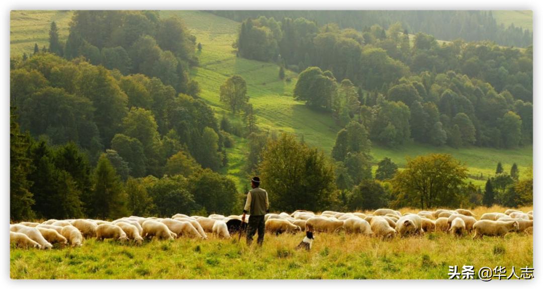 中国地主在新西兰:有人坐拥万顷良田,有人卖掉北京房,牧马放羊