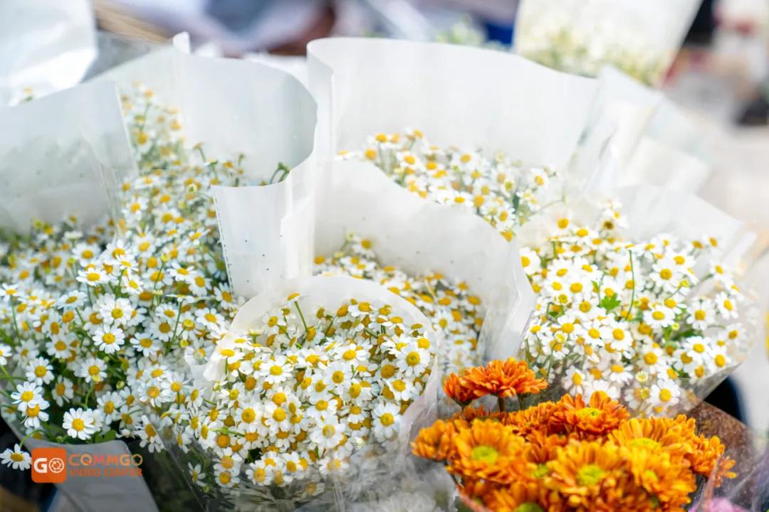 重庆花市排名前十名,重庆花市哪里最便宜