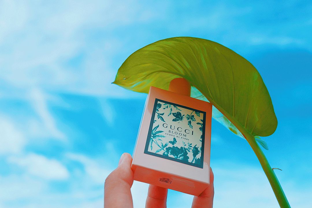 骞村害棣欐按鎺ㄨ崘鐩樼偣,骞村害澶х墝棣欐按