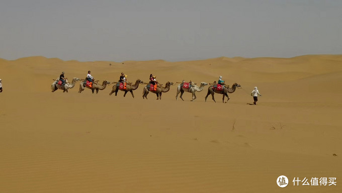 带孩子看世界篇二十二：2019暑假游（2）---大美宁夏