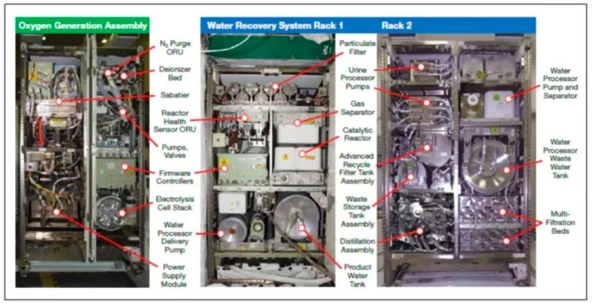 3男3女模拟火星旅行,封闭仓无隐私生活一年,出来后怎么样了?
