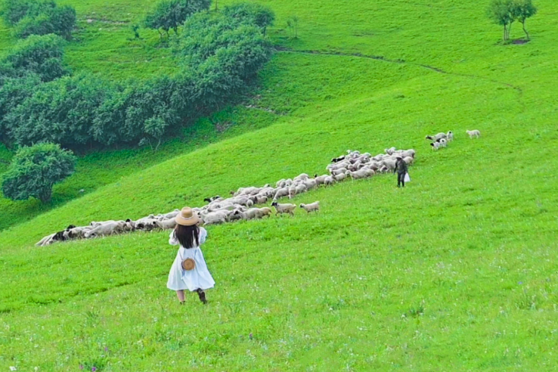 北京草原7天旅游攻略大全,距离北京最近的草原自驾游攻略