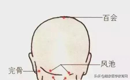 健康管理师需要哪些技巧,健康管理师基础知识100条