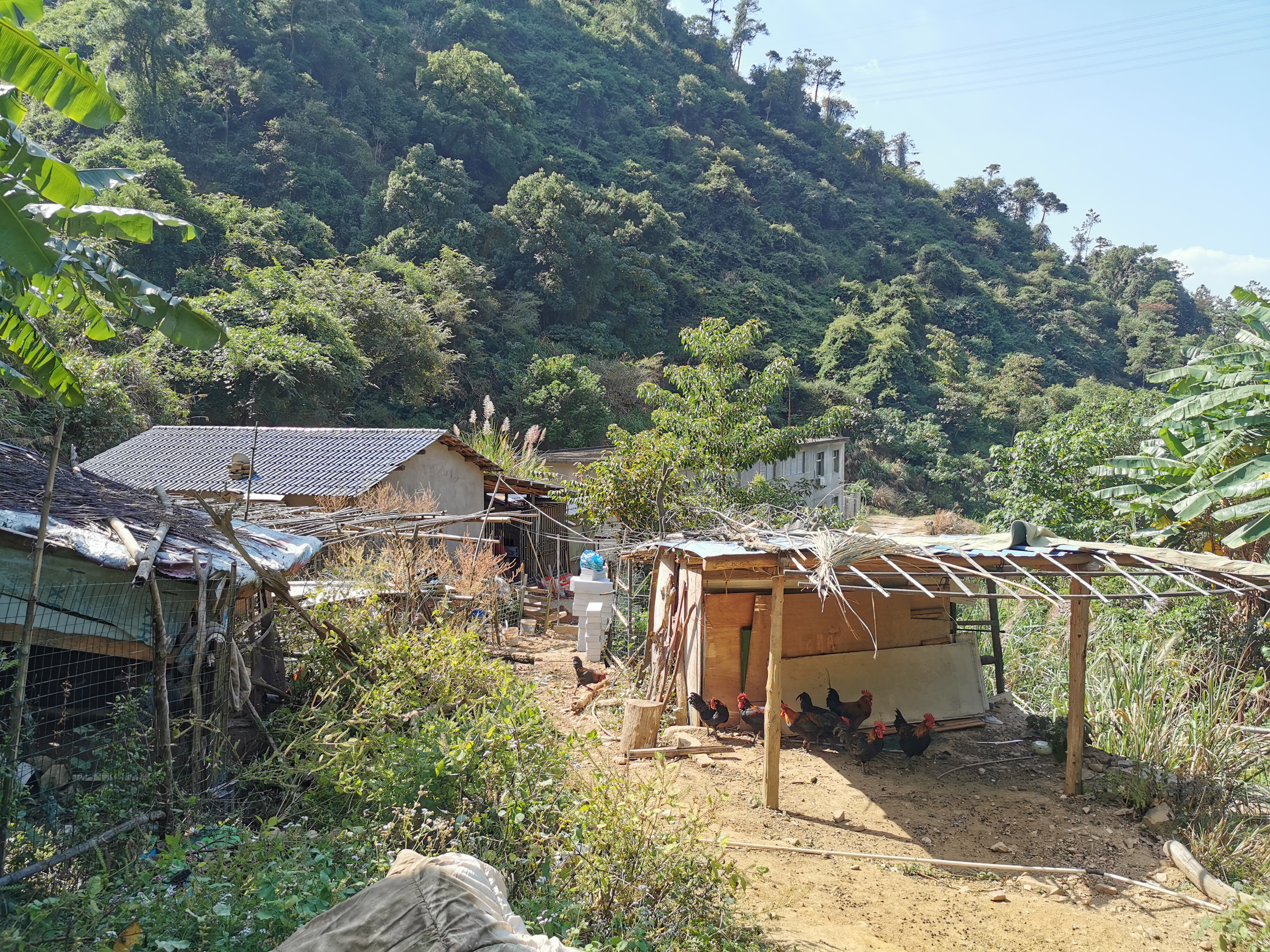 登云水库,登云湖水库