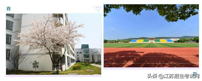 你可能还不知道，苏大文正有多好