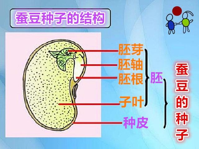 四年级下册生命生态与安全知识点,科学四年级1到2单元的知识点