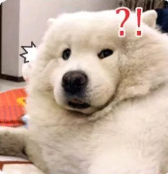 彻底根除耳螨的方法,除螨经验分享