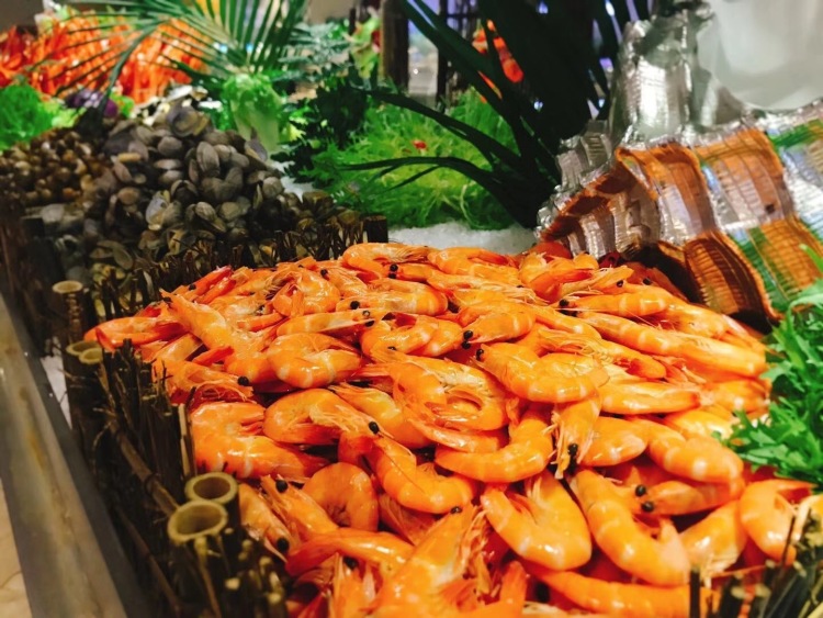 成都洞穴温泉哪里好,成都温泉汤乐汇