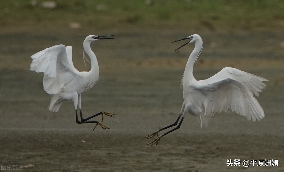 鐪熷亣鏃犱粠鏌ヨ瘉,鐪熷亣闅捐鲸鑷繁鐭ラ亾