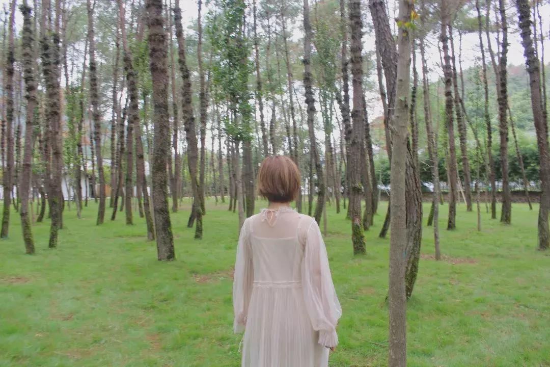 楠溪江的水有多美 (浙江楠溪江风景区怎么样)