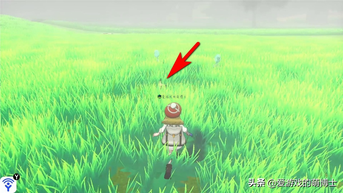 宝可梦剑盾谜拟q怎么得,宝可梦剑盾新手村攻略