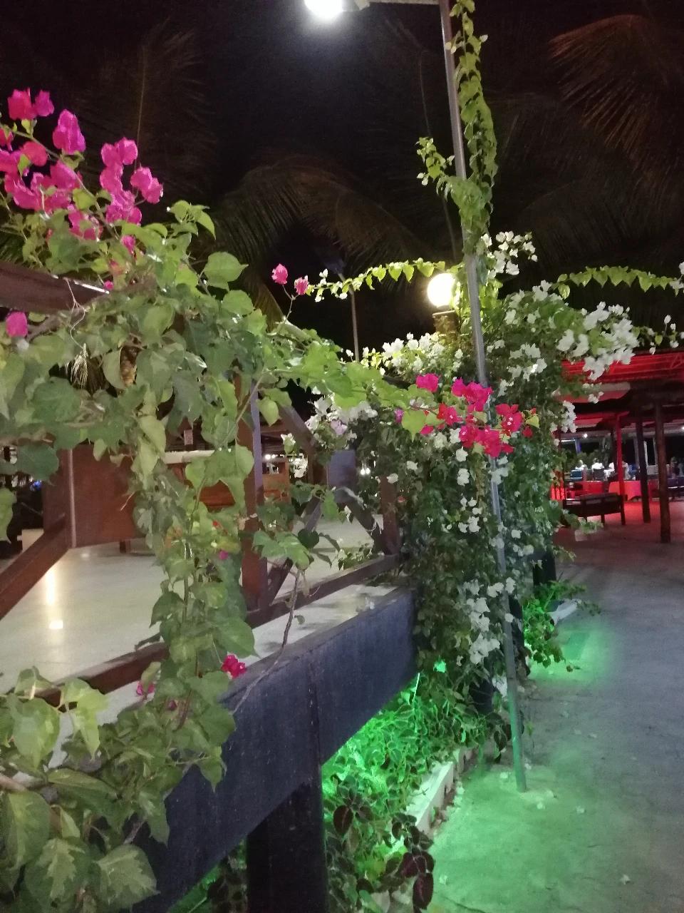 我们的少年时代,我们的中年人歌曲