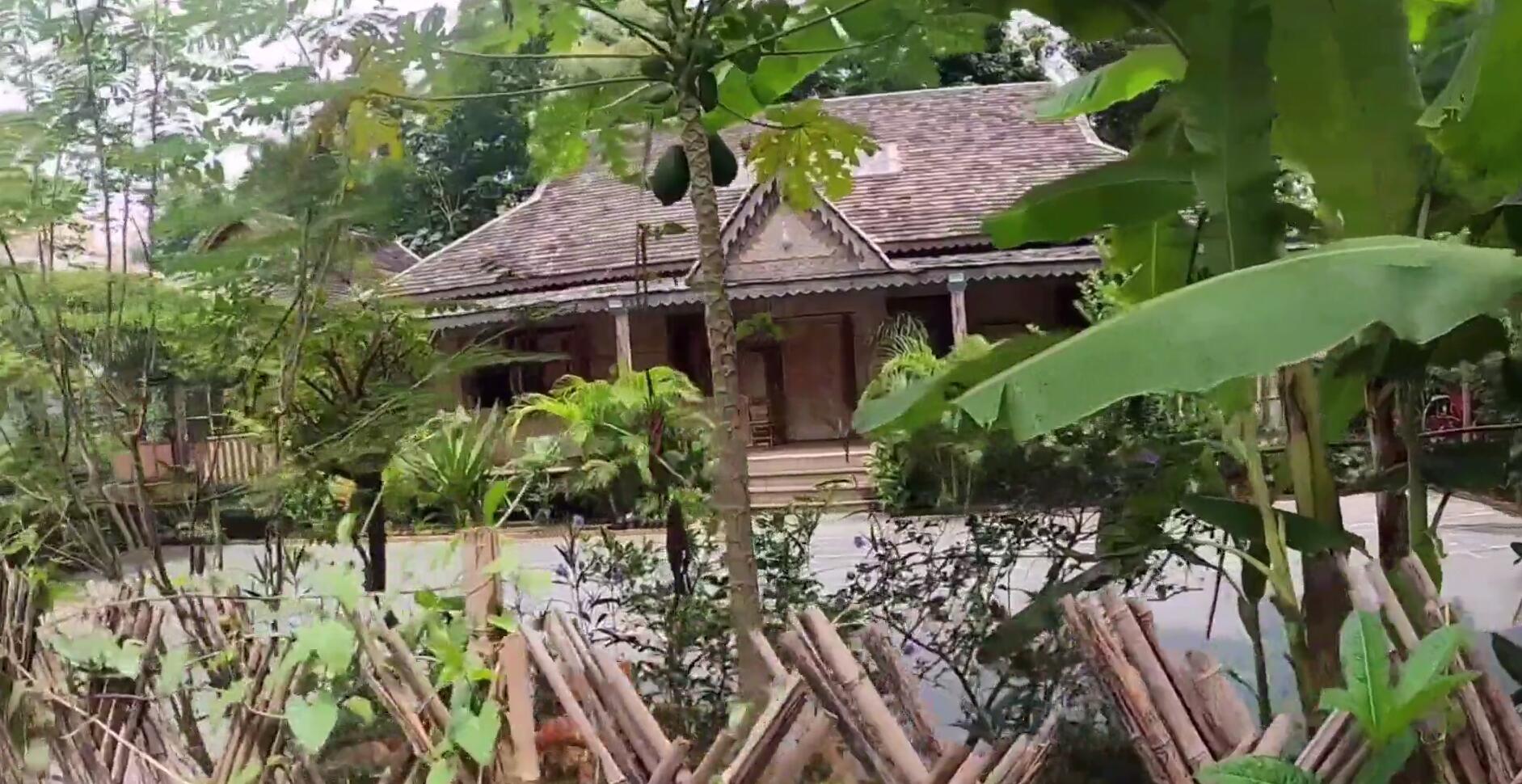 西双版纳热带雨林导游,西双版纳热带雨林谷导游