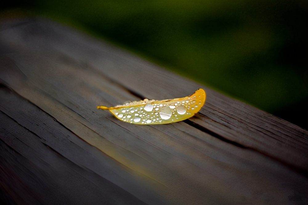 婚外情女人怎么和婚外情男人相处,面对婚外情的女人男人应该怎么办