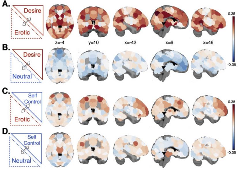 neuroimage意思,mentalimages什么意思
