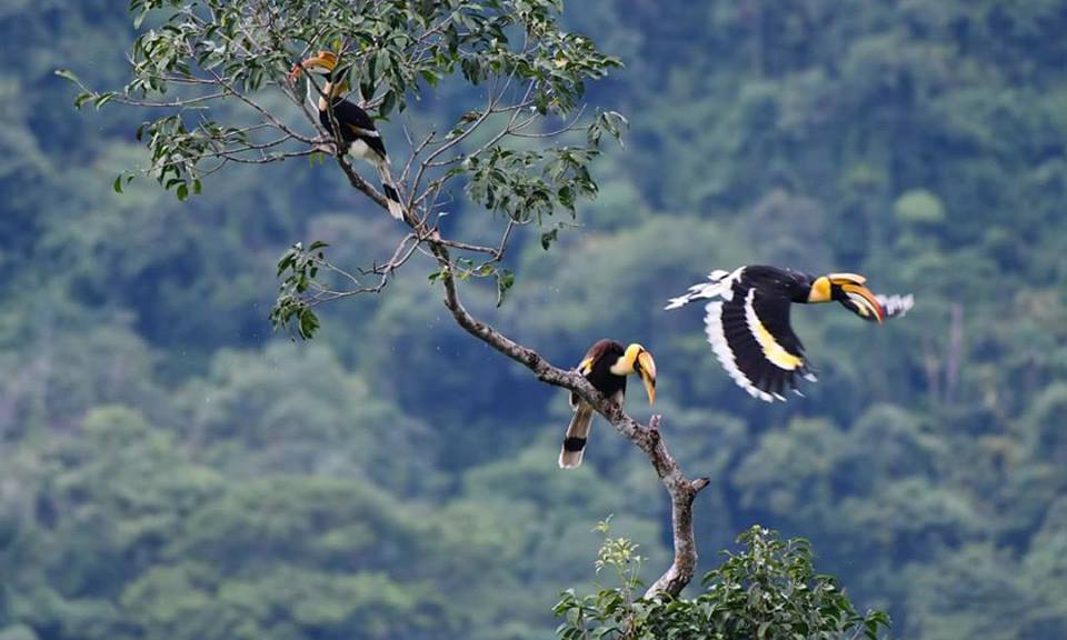 泰国象岛附近的岛,象岛泰国