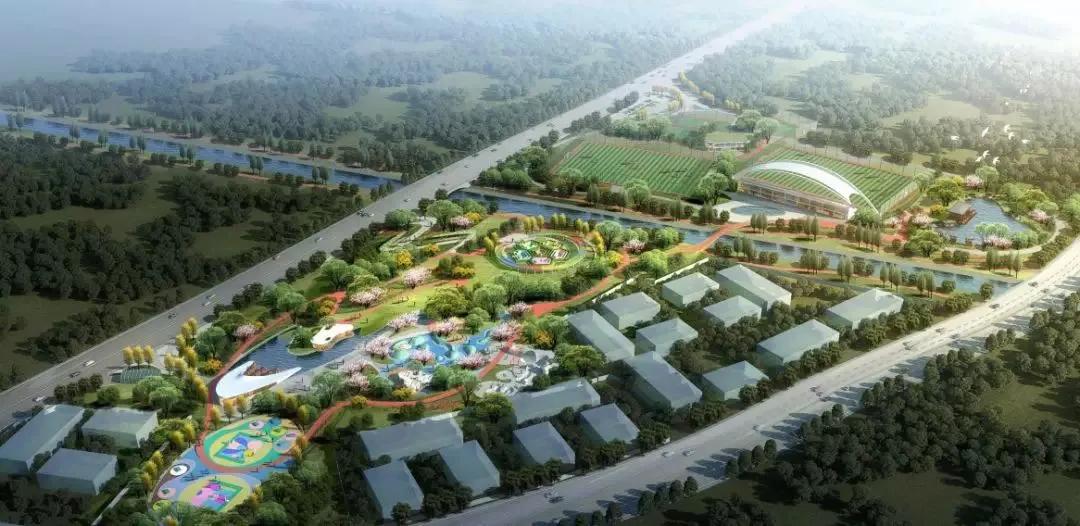 首付49万能买到什么车,首付59万买三居室