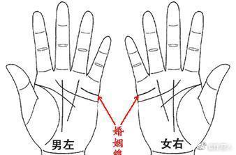 手相算命感情线分叉很多,从手相婚姻线看一个人的婚恋吉凶