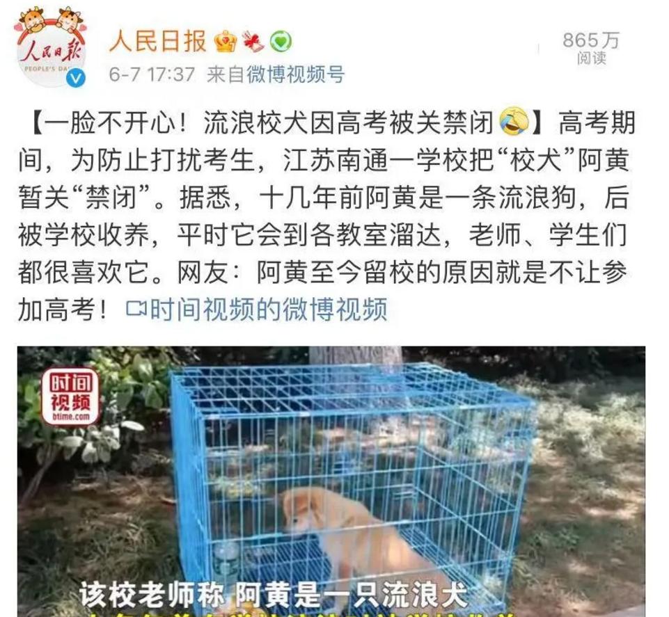 学校狗狗高考被关禁闭,高考被关禁闭网红狗去世