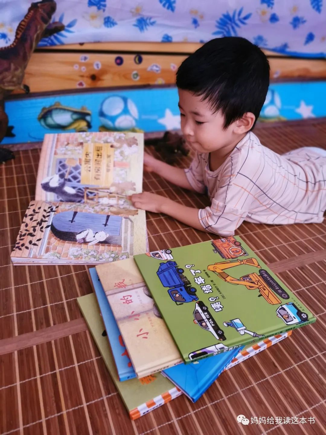 绘本书怎么分类,绘本包罗万象