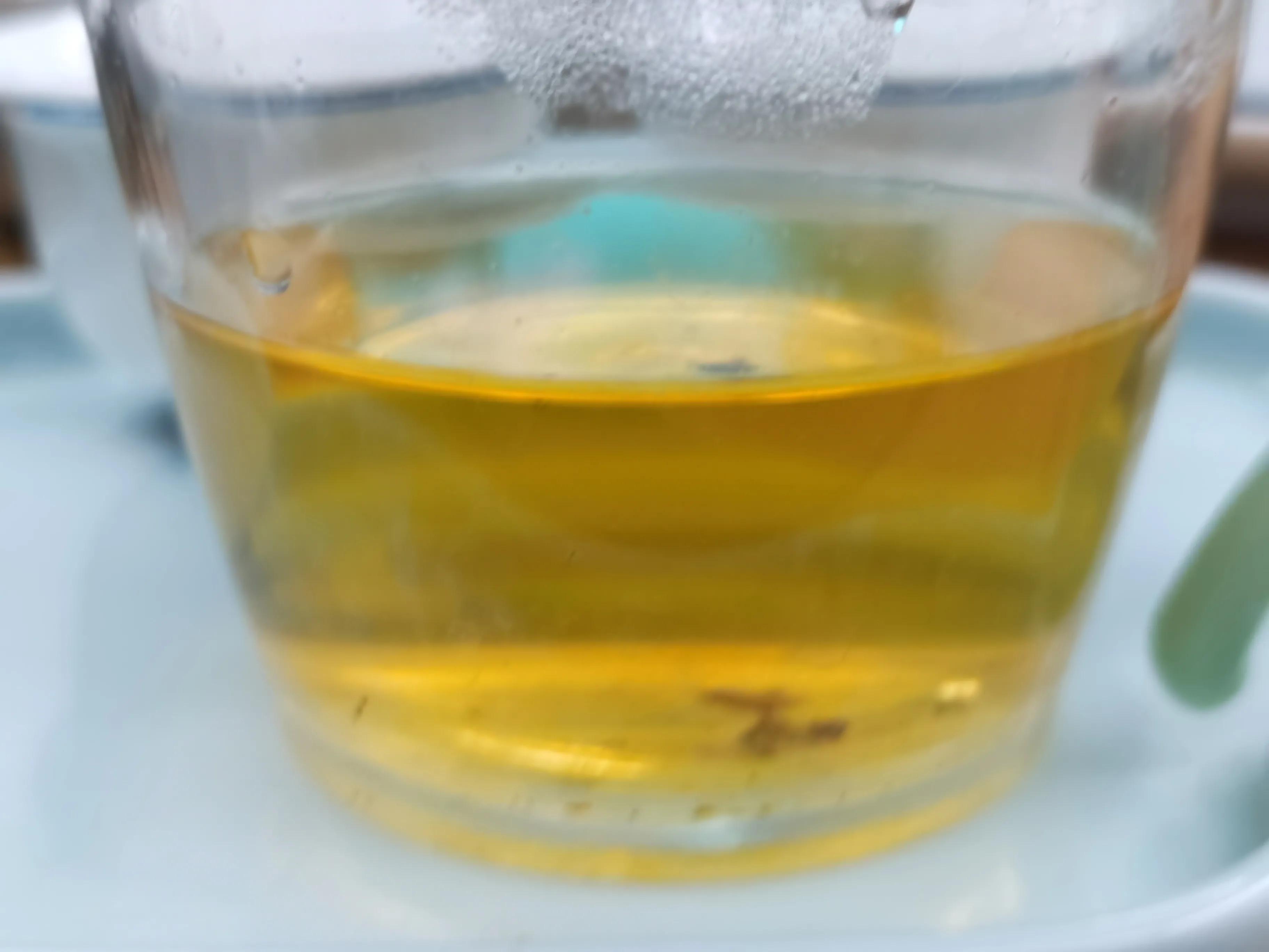 虎山行茶评巅峰易武,虎山行普洱