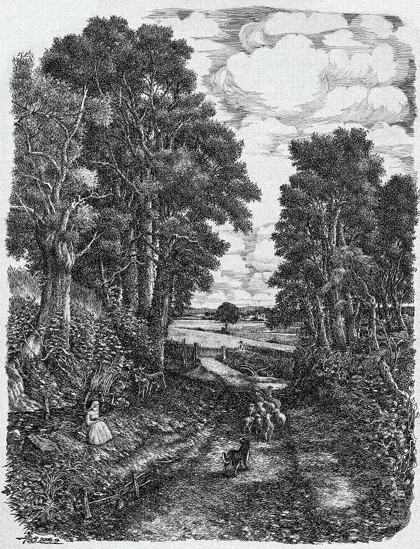 钢笔用得好，真的可以为所欲为！