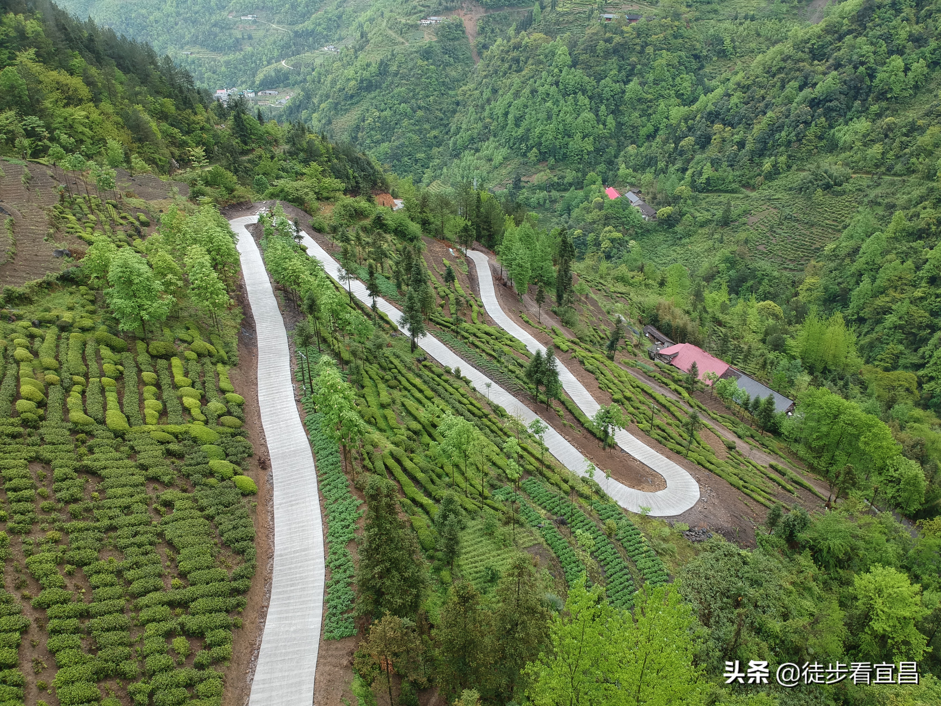 宜昌五峰风景真实照片,五峰茶山航拍