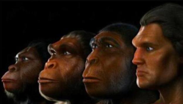 人类经过进化后,失去全身除了头发和阴部毛发,竟然是为了散热?