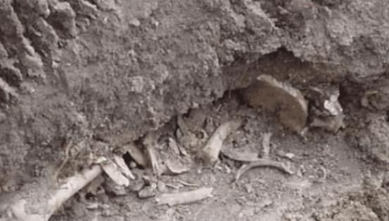 1963年女会计,1963年河北女会计失踪之谜