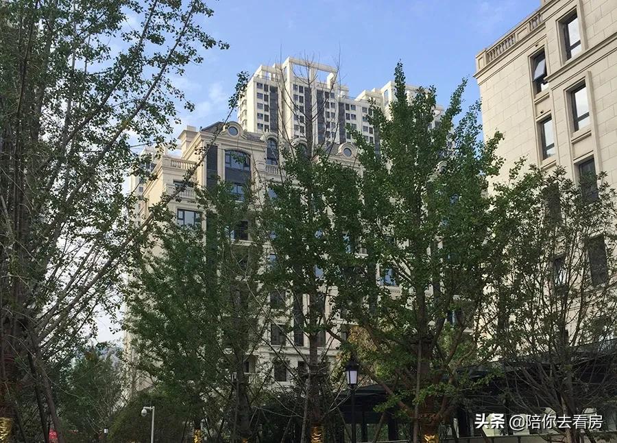 一个地市来的小开发商,打了所有大牌房企的脸