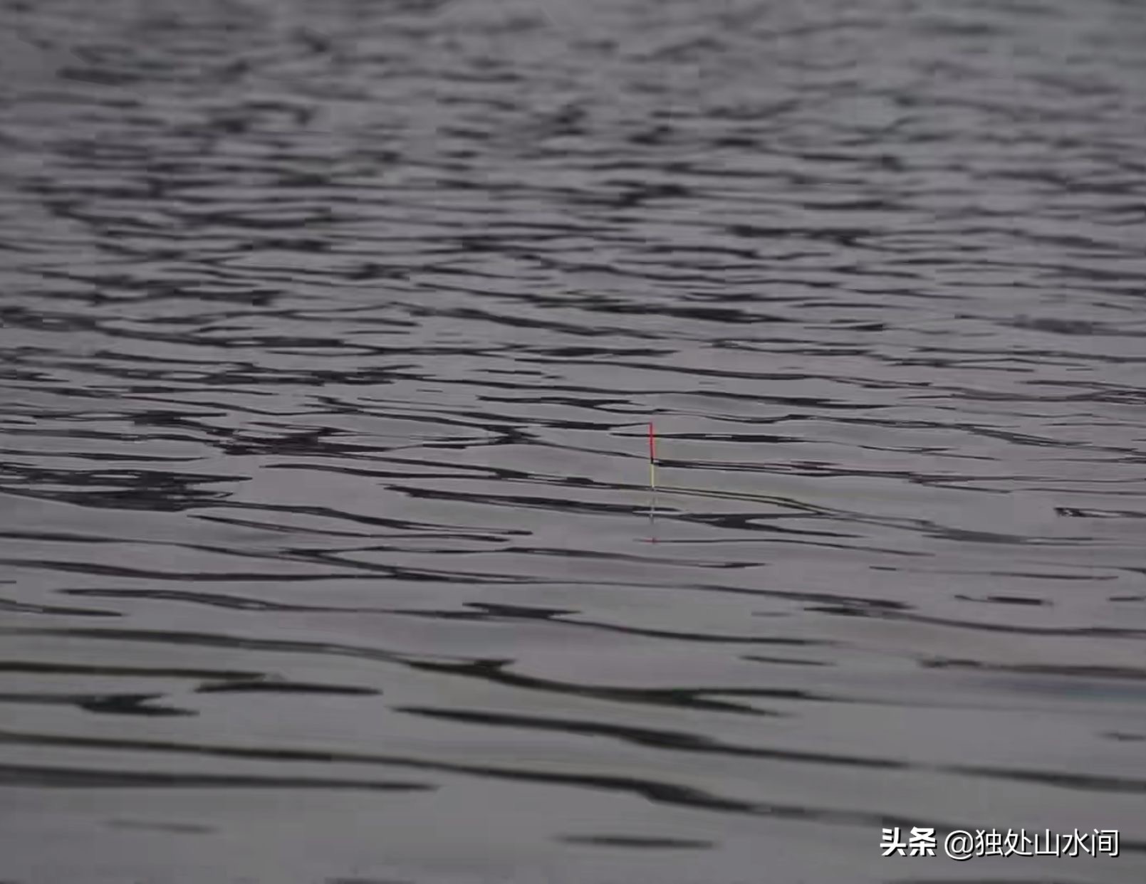 垂钓最好的乐趣,垂钓有什么益处