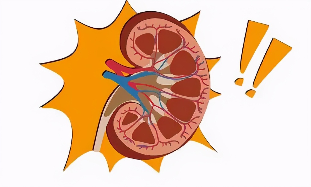 干细胞能治好慢性肾病吗,干细胞治疗肾病有哪些副作用