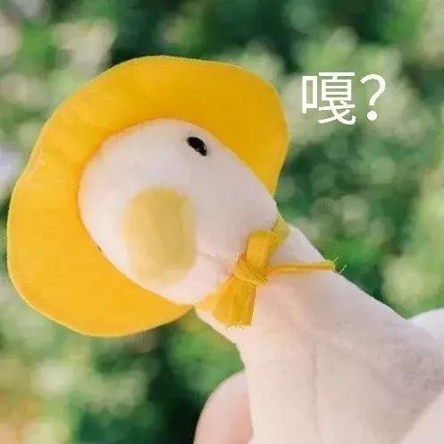 长时间在室内要不要补涂防晒?平价又好用的散粉有哪些?