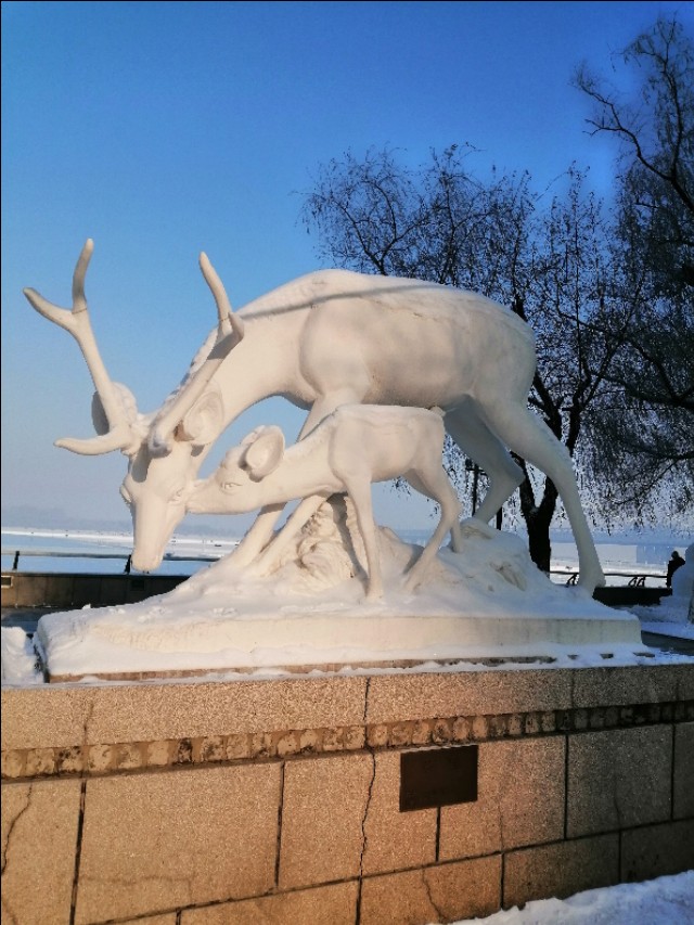 带我们走进哈尔滨冰城,带你了解不一样的哈尔滨