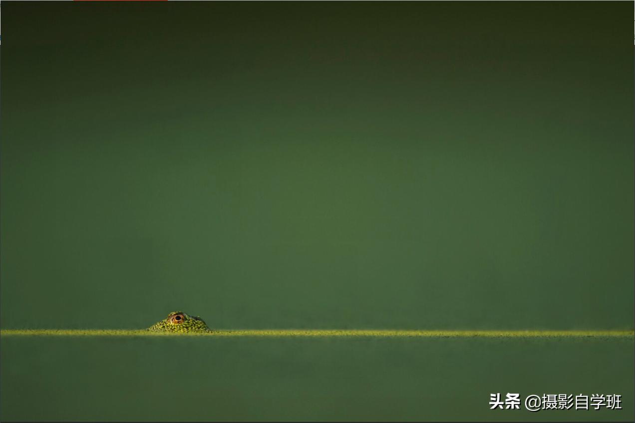 摄影技巧入门篇口诀大全,初学摄影必背口诀一共14句