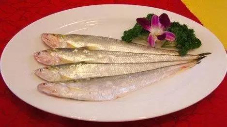 长江白鲟世界最大淡水鱼,中华鲟娃娃鱼