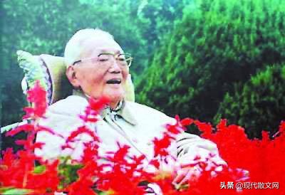 巴金我的心创作时间,巴金我的心深度解析