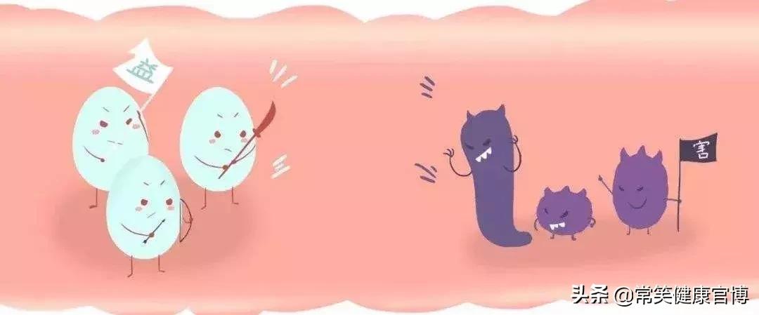 女性必知的8条妇科常识,100个妇科小常识视频动画