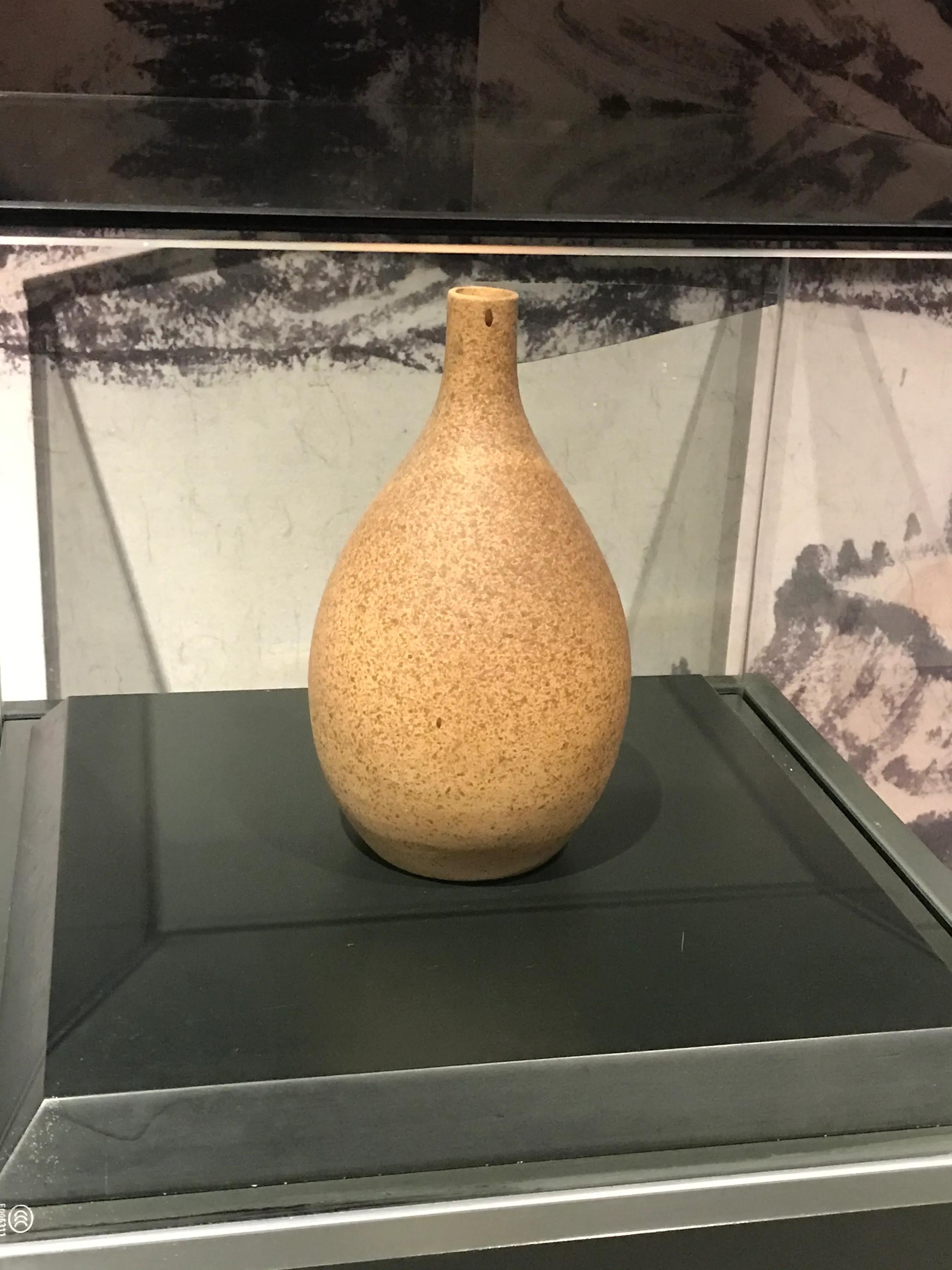 洋沙湖湿地公园游记,洋沙湖游记作文