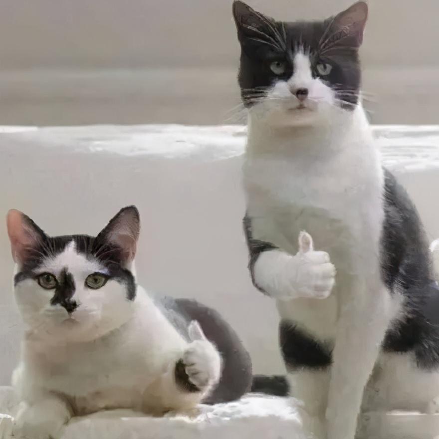 只涨不跌的澳洲大学开始退学费了?专门给海外留学生