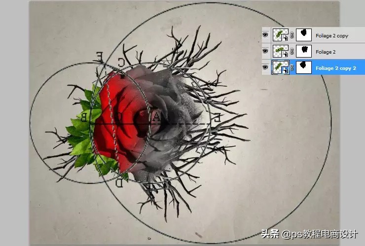 ps怎么把玫瑰变成金黄色,ps蝴蝶和鲜花合成